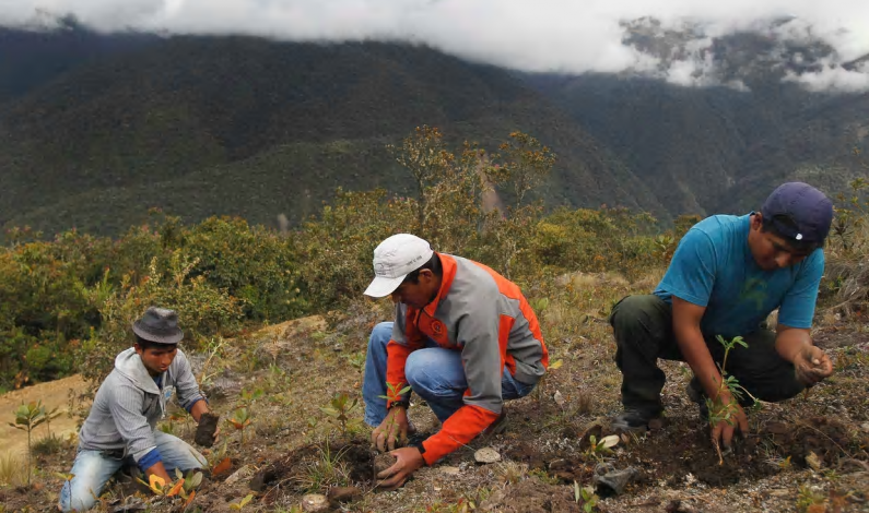 Utopia or reality: can South America lead a fossil-free future? Utopia or reality: can South America lead a fossil-free future?