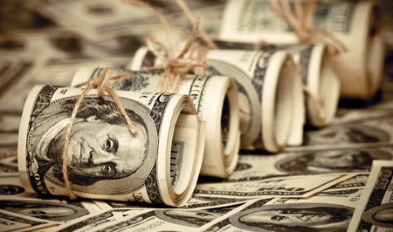 Dollarization, Euroization and Financial Instability Dollarization, Euroization and Financial Instability